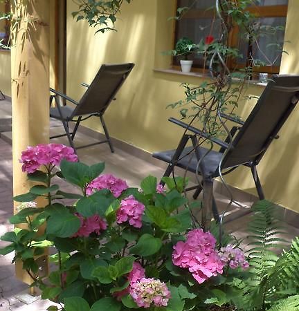 Oazis Apartman Eger Luaran gambar