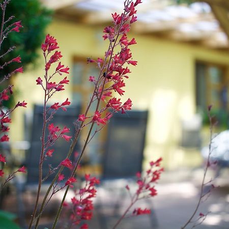 Oazis Apartman Eger Luaran gambar